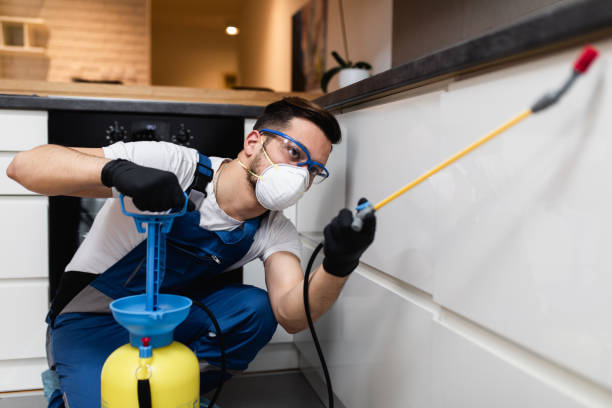 Best Bed Bug Extermination  in Avimor, ID