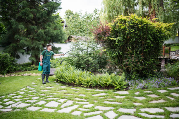 Trusted Avimor, ID Pest Control Experts