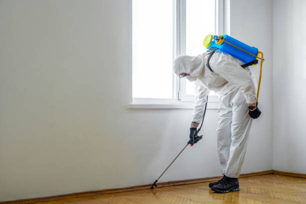 Best Best Pest Control Companies  in Avimor, ID
