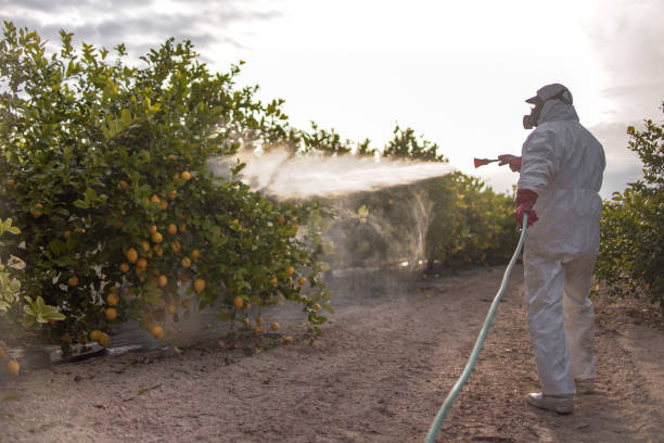 Best Commercial Pest Control Services  in Avimor, ID