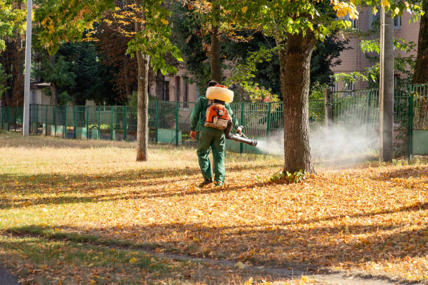 Best Pest Prevention Services  in Avimor, ID