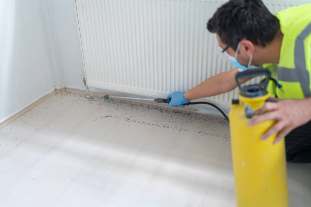 Best Wasp Removal Services  in Avimor, ID