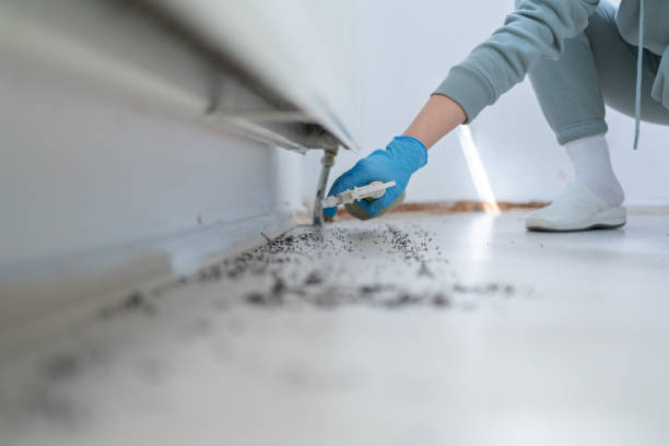 Pest Control Cost in Avimor, ID